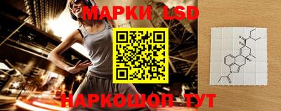индика Гусь-Хрустальный