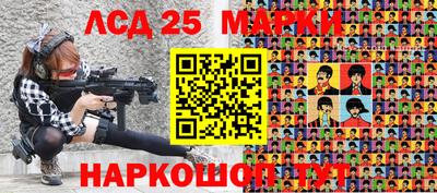 индика Гусь-Хрустальный