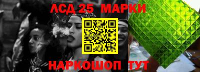 индика Гусь-Хрустальный