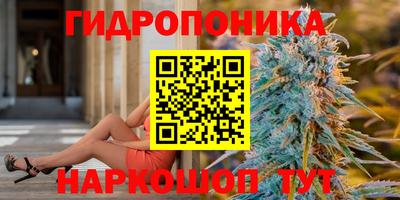 ECSTASY Гусев