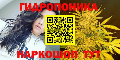 ECSTASY Гусев